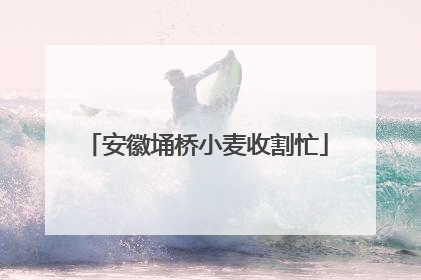 安徽埇桥小麦收割忙