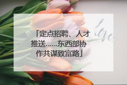 定点招聘、人才推送……东西部协作共谋致富路