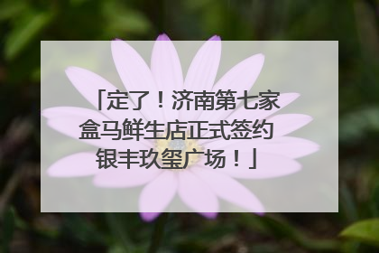 定了！济南第七家盒马鲜生店正式签约银丰玖玺广场！