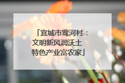 宜城市莺河村：文明新风润沃土 特色产业富农家