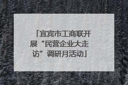 宜宾市工商联开展“民营企业大走访”调研月活动