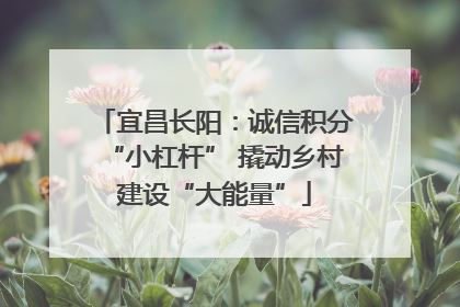 宜昌长阳：诚信积分“小杠杆” 撬动乡村建设“大能量”