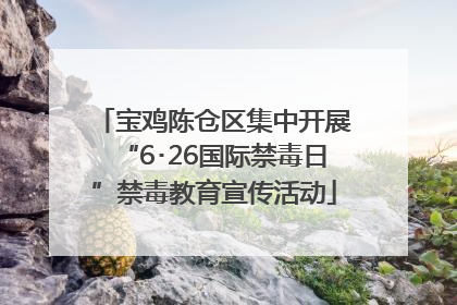 宝鸡陈仓区集中开展“6･26国际禁毒日”禁毒教育宣传活动