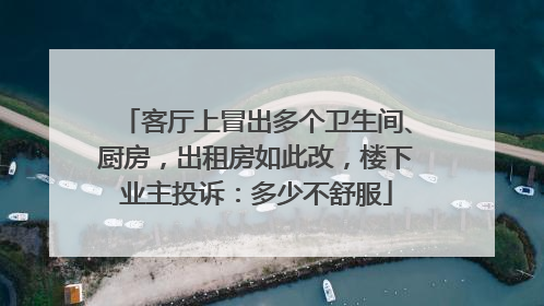 客厅上冒出多个卫生间、厨房，出租房如此改，楼下业主投诉：多少不舒服