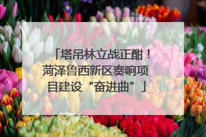 塔吊林立战正酣！菏泽鲁西新区奏响项目建设“奋进曲”
