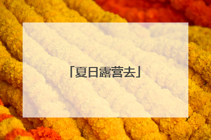 夏日露营去