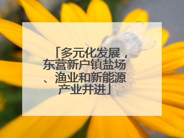 多元化发展，东营新户镇盐场、渔业和新能源产业并进