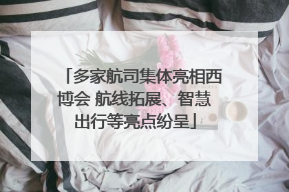 多家航司集体亮相西博会 航线拓展、智慧出行等亮点纷呈