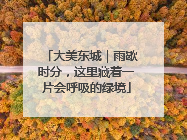 大美东城｜雨歇时分，这里藏着一片会呼吸的绿境