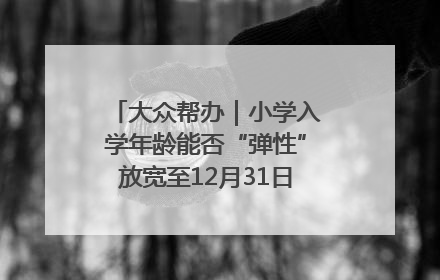 大众帮办｜小学入学年龄能否“弹性”放宽至12月31日？有地方已在探索