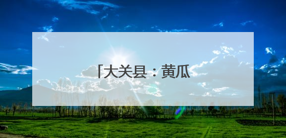 大关县：黄瓜触网销路宽