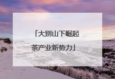 大别山下崛起茶产业新势力