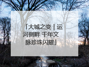 大城之变｜运河侧畔 千年文脉珍珠闪耀