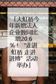 大虹桥今年新增法人企业数同比增20.6%！“走进虹桥 走进进博”活动举办