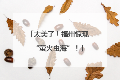 太美了！福州惊现“萤火虫海”！
