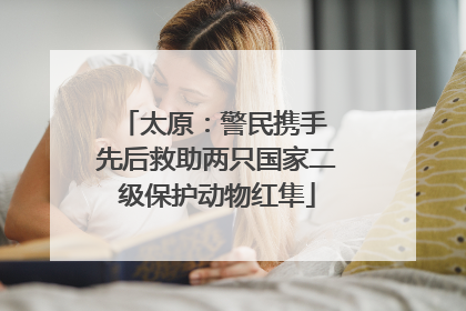 太原：警民携手 先后救助两只国家二级保护动物红隼
