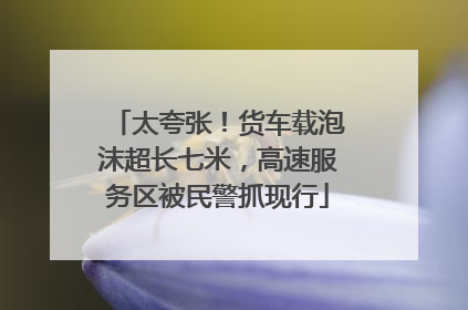 太夸张！货车载泡沫超长七米，高速服务区被民警抓现行