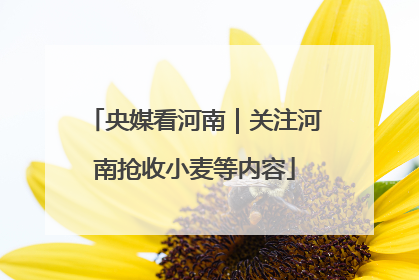 央媒看河南｜关注河南抢收小麦等内容