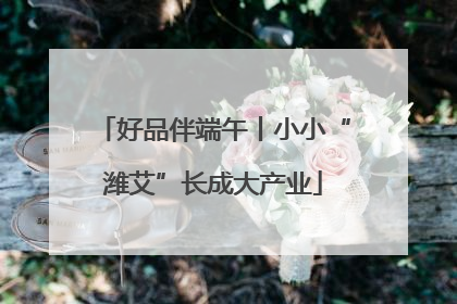 好品伴端午丨小小“潍艾”长成大产业