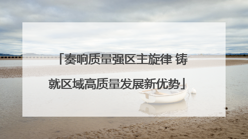 奏响质量强区主旋律 铸就区域高质量发展新优势