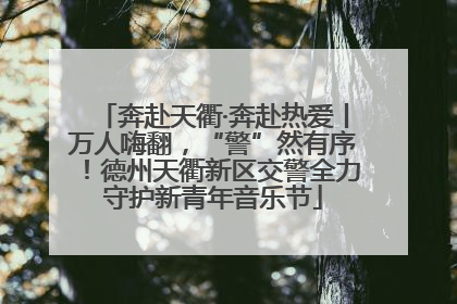 奔赴天衢·奔赴热爱丨万人嗨翻，“警”然有序！德州天衢新区交警全力守护新青年音乐节