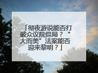 彻夜游说能否打破众议院僵局？“大而美”法案能否迎来黎明？