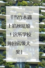 当竹木遇上掐丝珐琅！这所学校捧回省级大奖