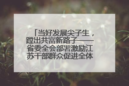当好发展尖子生，蹚出共富新路子——省委全会部署激励江苏干部群众促进全体人民共同富裕