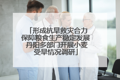 形成抗旱救灾合力 保障粮食生产稳定发展 丹阳多部门开展小麦受旱情况调研