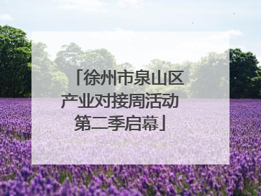 徐州市泉山区产业对接周活动第二季启幕