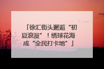徐汇街头邂逅“初夏浪漫”！绣球花海成“全民打卡地”