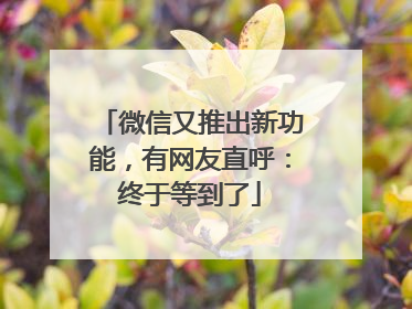 微信又推出新功能，有网友直呼：终于等到了
