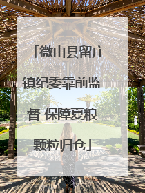 微山县留庄镇纪委靠前监督 保障夏粮颗粒归仓