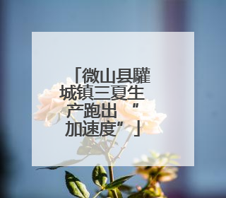 微山县驩城镇三夏生产跑出 “加速度”