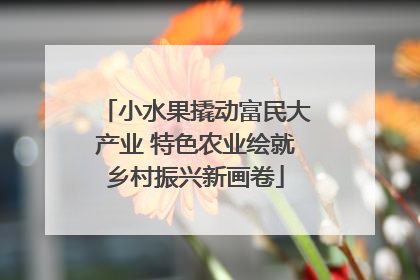 小水果撬动富民大产业 特色农业绘就乡村振兴新画卷