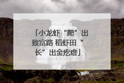小龙虾“爬”出致富路 稻虾田“长”出金疙瘩