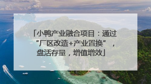 小鸭产业融合项目：通过“厂区改造+产业置换”，盘活存量，增值增效
