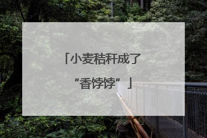 小麦秸秆成了“香饽饽”