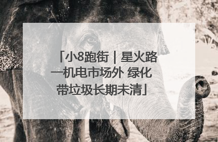 小8跑街｜星火路一机电市场外 绿化带垃圾长期未清