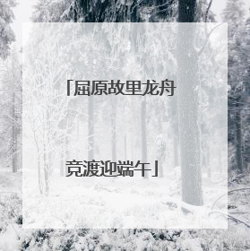屈原故里龙舟竞渡迎端午