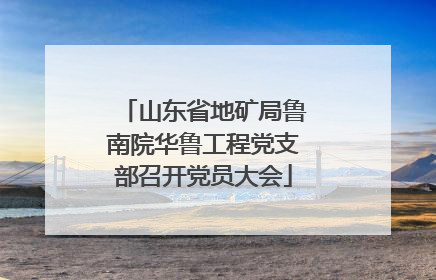 山东省地矿局鲁南院华鲁工程党支部召开党员大会