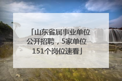 山东省属事业单位公开招聘，5家单位151个岗位速看