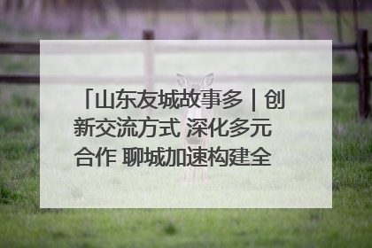 山东友城故事多｜创新交流方式 深化多元合作 聊城加速构建全球友城新格局