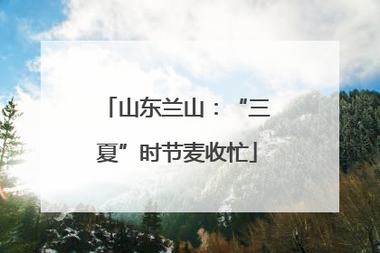 山东兰山：“三夏”时节麦收忙