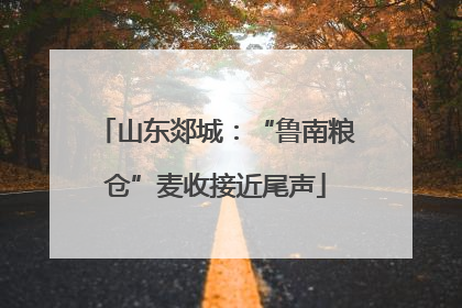山东郯城：“鲁南粮仓”麦收接近尾声