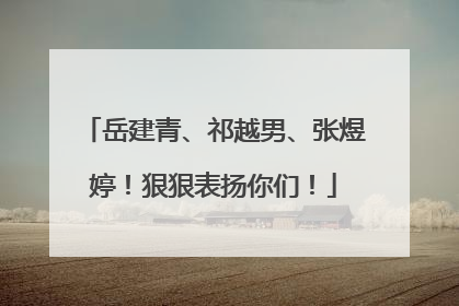 岳建青、祁越男、张煜婷！狠狠表扬你们！