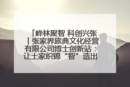 峰林聚智 科创兴张丨张家界旅典文化经营有限公司博士创新站：让土家织锦“智”造出非遗新传奇
