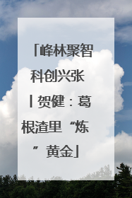 峰林聚智 科创兴张丨贺健：葛根渣里“炼”黄金