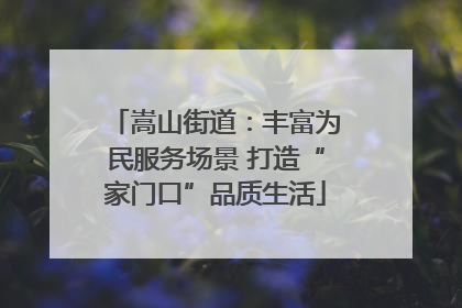 嵩山街道：丰富为民服务场景 打造“家门口”品质生活