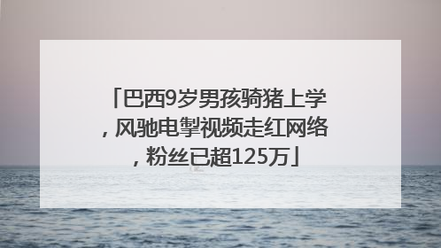 巴西9岁男孩骑猪上学，风驰电掣视频走红网络，粉丝已超125万